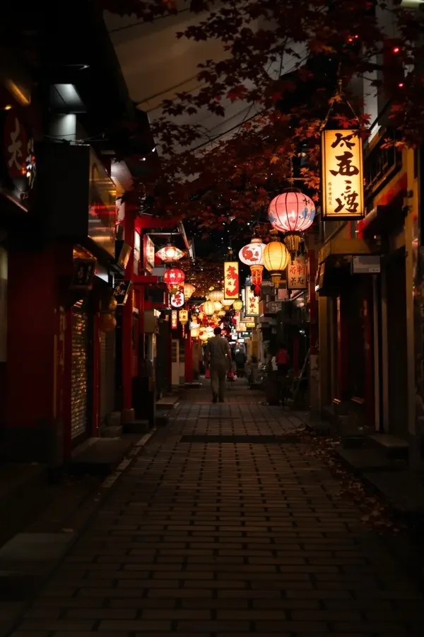 椰林露营季