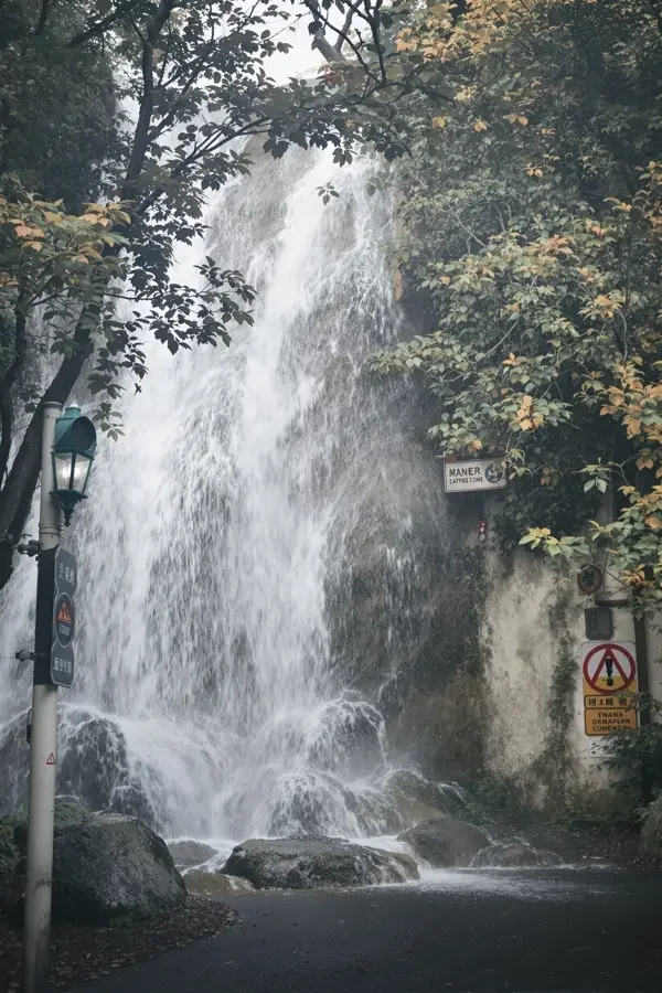 椰林深处