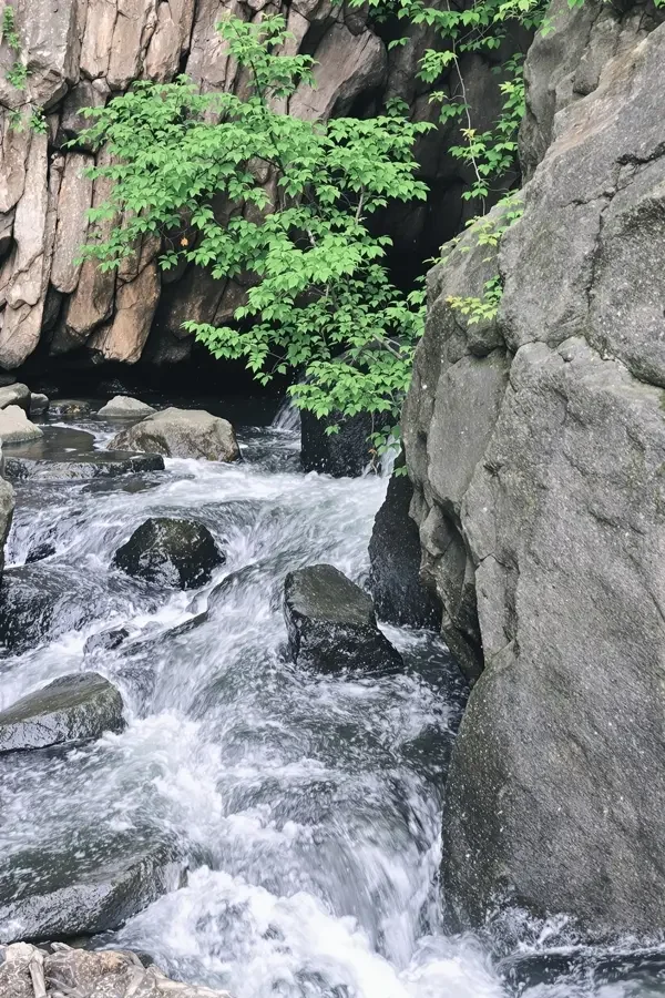 海岸线